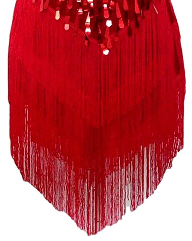 Womens Flapper Gatsby Sequin Tassel Ballroom Dance Sling Skirt Cyan Blue/Red/White Latin Salsa Tango Samba cha cha Rumba Dress Size 32/34/36/38