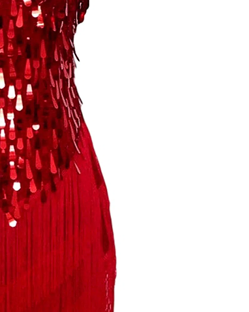 Womens Flapper Gatsby Sequin Tassel Ballroom Dance Sling Skirt Cyan Blue/Red/White Latin Salsa Tango Samba cha cha Rumba Dress Size 32/34/36/38